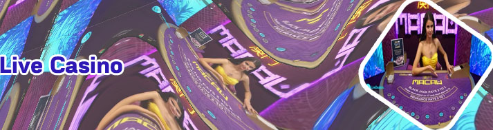 Caribbean stud poker live