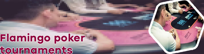 Flamingo poker tournaments